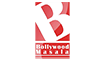 Bollywood Masala