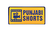 Punjabi Shorts